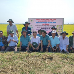 HỘI THẢO “SỬ DỤNG PHÂN BÓN HỮU CƠ SINH HỌC TRONG SẢN XUẤT LÚA THEO HƯỚNG HỮU CƠ”
